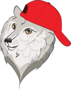 Cute cartoon wolf in a baseball cap illustration on white background.