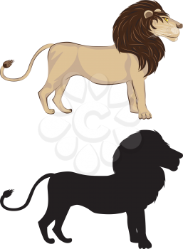 Stylized male lion standing with silhouette, cartoon animals illustration.