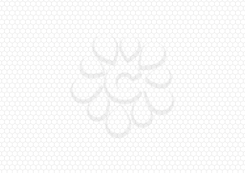 Gray hexagon grid on white, a4 size horizontal background