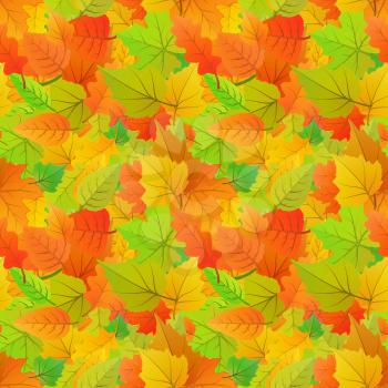 A lot of cute autumn leaves from different kind of trees, seamless pattern
