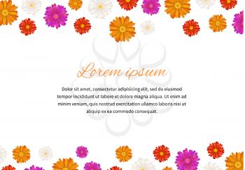 Colourful gerbera flowers on white with text space, a4 size illustration