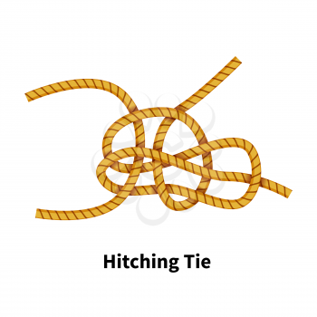 Hitching Tie sea knot. Bright colorful how-to guide isolated on white
