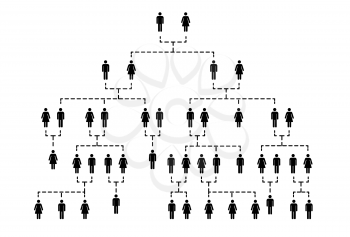 Complicated family tree of several generations isolated on white