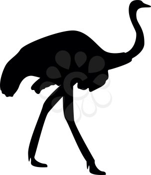 Ostrich icon black color vector illustration flat style simple image