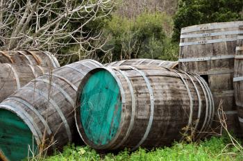 Weathered vintage wooden barrels in a forest.