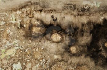 Black mold growth and water stains on peeling grunge wall. Abstract background.