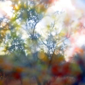 Natural landscape through paint smudged glass. Melting trees strange visions.