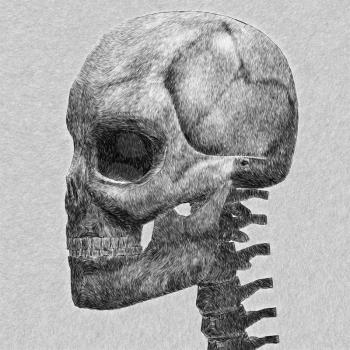 Human skull sketch. Abstract digitally created illustration.