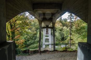 A view from beneath the bridge at Saltwater State Park in Washington State.