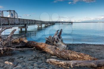 A view of a pile of driftwood and the pier at Dash Point, Washington.