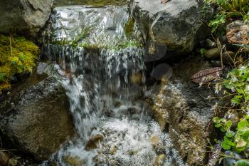 A stream flows between rocks at the Rhododendron Species Botanical Garden.