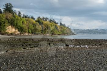 A view of the shoreline at Saltwater State Park in Des Moines, Washington. It is Spring.