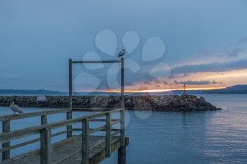 A seagull sits on a pier as the sun sets at Des Moines Marina in Washington State.