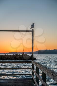 A seagull sits on a pier as the sun sets in Des Moines, Washington.