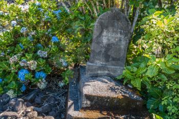 Flowers surround this gravestone on Maui, Hawaii.