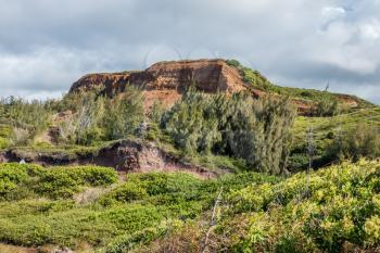 A view of a hill with red soild on Maui, Hawaii.