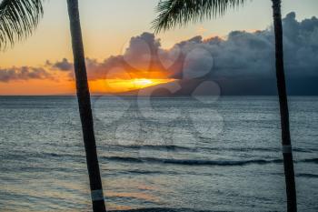 The sun sets behind two palm trees on Maui, Hawaii.