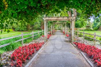 A view of flowers and walkway at the rose garden in Point Defiance Park in Tacoma, Washington.