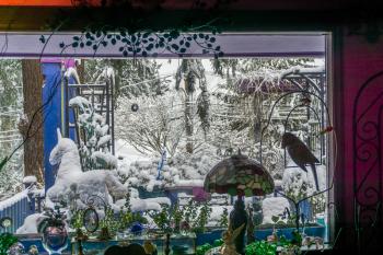 Looking out through a picture window to a front poch that is coverwed with snow.