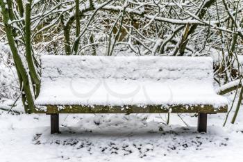 A park bench in covered with snow in Burien, Washington.