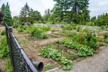 A view of a community garden in Seatac, Washington.