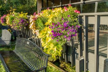 Flower baskets hang from a railing in Normandy Park, Washington.