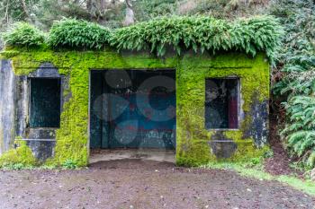 Moss and ferns gronw on a derelict cement shed at Cape Disappointment State Park in Washington State.