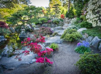 A view of stairs and flowers in a garden in Seatac, Washington.