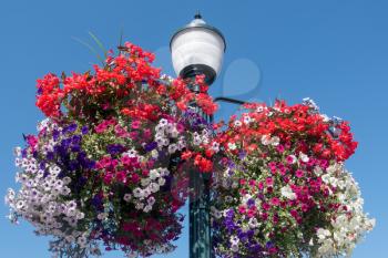 Colorful flower baskets hang from a streetlamp.