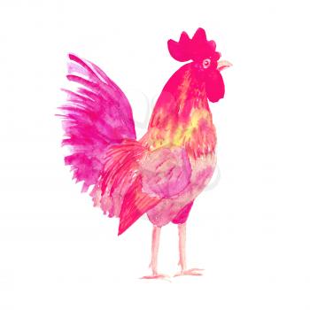 Rooster symbol 2017. Bright red Watercolor illustration. Fashionable print on t-shirts, bags, cases for smartphones, textiles, fashion design