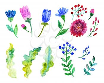 Set of watercolors, berries, leaves. To create designs for postcards, invitations, prints, seamless patters. Packages of soap, handmade cosmetics perfumes