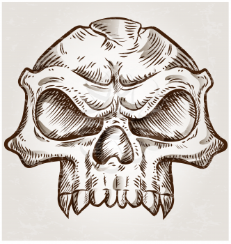 skull sketch design on background
