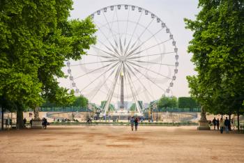a Ferris wheel   in the Tuileries garden in Paris. France