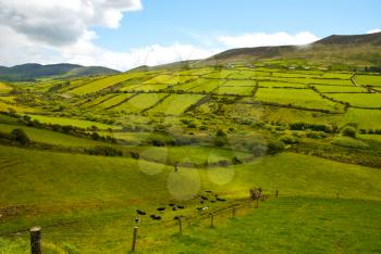 Beautiful Irish countryside with emerald green fields and meadows. Rural landscape 