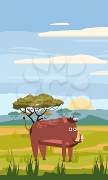 Wild boar cute cartoon style in background savannah Africa, isolated