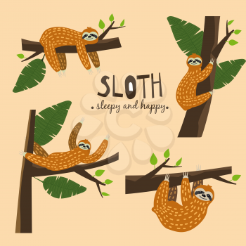Set Cute funny sloth hanging on the tree. Sleepy and happy. Adorable hand drawn cartoon animal illustration