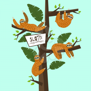 Set Cute funny sloth hanging on the tree. Sleepy and happy. Adorable hand drawn cartoon animal illustration