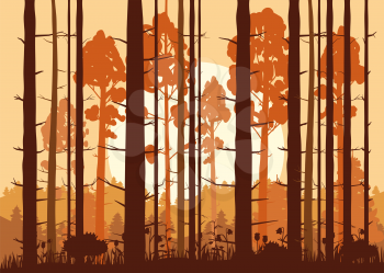Forest, sunset, mountains, silhouettes of pine trees firs panorama horizon