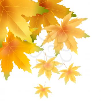 Banner autumn falling leaves template background
