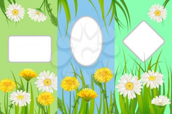 Set spring cards of floral flowers dandelions and daisies, chamomiles, grass backgrounds