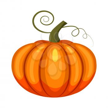 Pumpkin, holiday Halloween character halloween