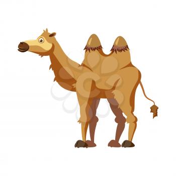 Cute camel, animal, trend cartoon style vector illustration
