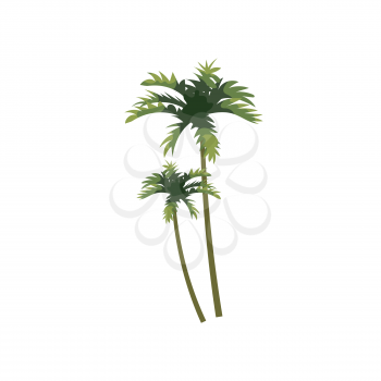 Palm cocnut tree tropical. Exotic floral plant with leaves isolated. Vector illustration