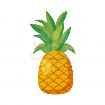 Pineapple whole fruit exotical fresh. Summer tropical healthy food. Vector illustration cartoon style