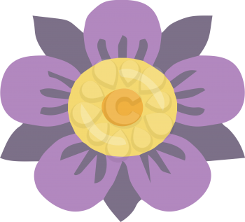 A flower with violet & mauve petals & yellow brown center vector color drawing or illustration 