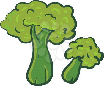 Simple broccoli vector illustration on white background.
