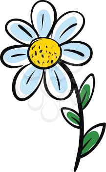 White chamomile flower with green leafs vector illustration on white background.