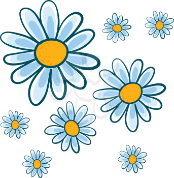 White chamomile flowers vector illustration on white background.
