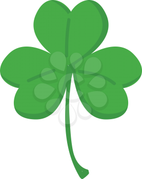 Green clover with three leafs vector illustration on white background.