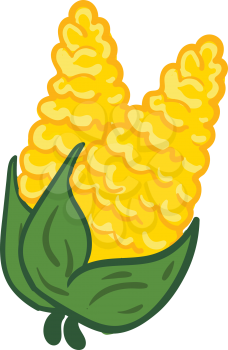 Yellow corn on green branch with green leafs vector illustration on white background.